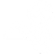 Icon Roof Maintenance